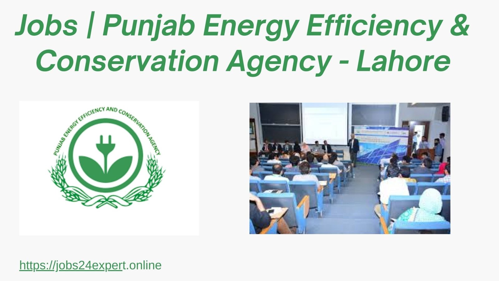 Punjab Energy Efficiency & Conservation Agency